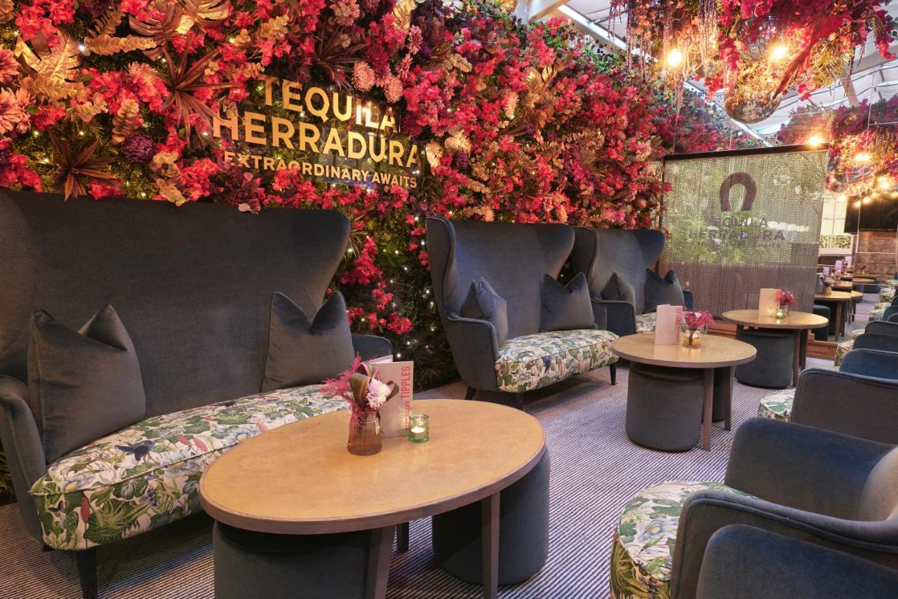 Tigerlily Edimburgo